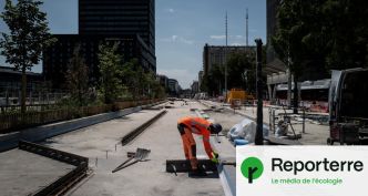 « Bosser l'après-midi, c'est inadmissible » : des boulangers aux ouvriers, l'enfer de la canicule