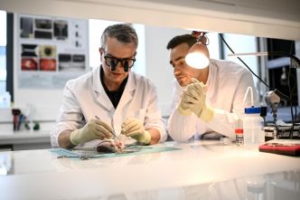 Maladies cardio-vasculaires : une étude de Santé publique France pointe de fortes disparités territoriales