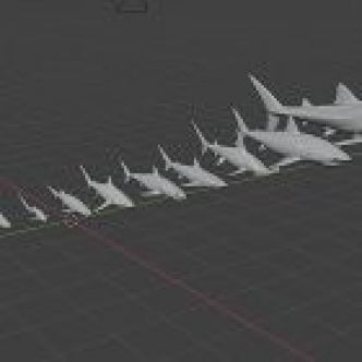 L'anatomie des requins respecte une loi mathématique