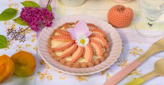 Modèle gratuit crochet : une tarte aux abricots pour une dinette DIY