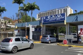 Violences conjugales : un nouveau dispositif pour porter plainte directement depuis les hôpitaux de Guadeloupe