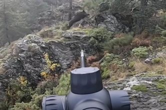 Sangliers et chevreuils en battue pour ce chasseur des Cévennes ardéchoises