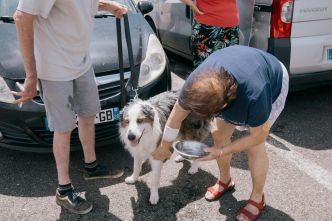 Canicule dans le sud de la France : « Chaque année, c'est pire. Je ne sais pas si on peut tenir encore longtemps comme ça »