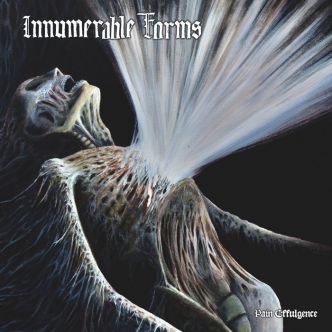 Innumerable Forms