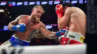 Boxe: "Je suis aussi un guerrier", le YouTubeur Jake Paul plus fort que Julio Cesar Chavez Jr