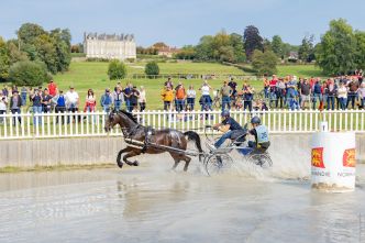 Attelage : Rendez-vous au Haras du Pin pour un CAI 3* en vue des Mondiaux