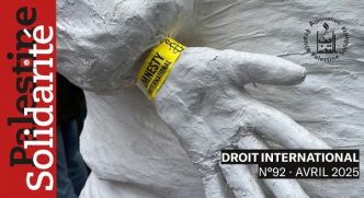 « On a l'impression d'être des sous-humains » un génocide à Gaza : l'enquête d'Amnesty International