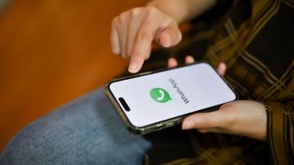 WhatsApp : voici comment rattraper vos conversations de groupe sans avoir à scroller