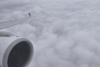 A la découverte de l'Airbus A330neo Corsair / Atterrissage Orly (Image)