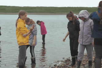 "Ce sont vraiment les enfants qui décident" : à Miquelon, les élèves deviennent acteurs de la biodiversité