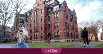 La descente aux enfers de l'une des enseignantes les mieux payées de Harvard : "Peut-être que j'étais naïve"