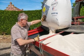 L'Europe s'attaque aux engrais russes, ses agriculteurs tremblent