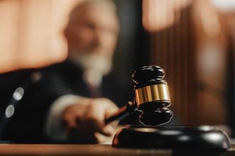 Lot : « On cueillait des pissenlits »... Le braconnier qui a pris le tribunal pour un jardin public