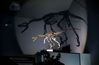 Vous connaissez Aix-en-Provence... mais connaissez-vous "Eggs-en-Provence" et sa pouponnière à dinosaures unique au monde?