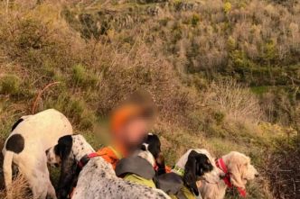 Procès du massacre de chiens de chasse en Ardèche: Les 2 chasseurs condamnés font appel