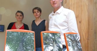 La société nantaise Néosylva devient société à mission