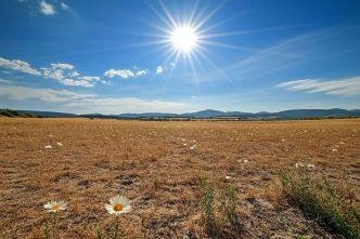 Vague de chaleur extrême : 16 départements en alerte rouge, quelles conséquences pour la population ?
