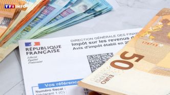 Déclarations de revenus : quand recevrez-vous l'avis d'imposition en 2025 ? | TF1 INFO