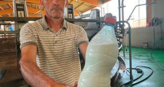 À Longwy, la bouteille de lait à 92 centimes d'euro crée des remous