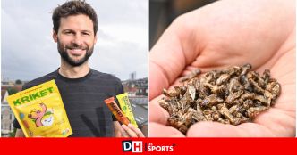 Des barres chocolatées... aux insectes : cette société de Molenbeek a le vent en poupe et se lance à l'international