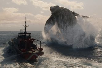Fête du Cinéma : la super promotion prend bientôt fin, voici les films à voir de toute urgence