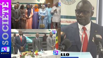Réunion Cedeao : Le député Ismaïla Diallo plaide pour  une révolution éducative axée sur la technologie