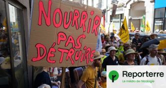 « Affligeant, mais sans surprise » : la loi Duplomb quasi adoptée au Parlement