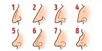 Testez votre entourage : que dit la forme de leur nez sur leur caractère ?