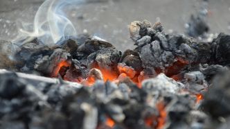 L'écologie est un combat perdu d'avance à cause de notre nature humaine