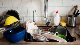 Ne laissez pas traîner la vaisselle au-delà de cette durée dans votre évier pour votre santé