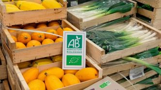 Agriculture biologique : des signes encourageants en 2024