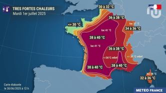 Canicule : 16 départements en alerte vigilance rouge les 1er et 2 juillet, qu’est-ce que ça signifie ?