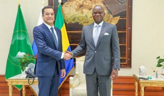 Gabon : Le Président du Groupe Perenco reçu par le Chef de l’Etat