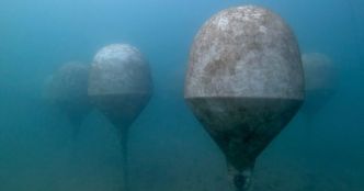 Quel est l'intérêt de vinifier des vins sous l'eau ?