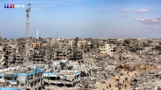 Gaza : une plainte déposée contre deux soldats franco-israéliens accusés de "crimes de guerre" | TF1 INFO