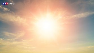 Canicule : Humidex, cet indice qui mesure l'inconfort lors des vagues de chaleur | TF1 INFO