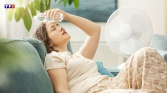 Coup de chaleur, déshydratation, sommeil : ce que la canicule provoque sur le corps selon un médecin | TF1 INFO