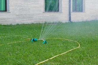 C'est la bonne fréquence pour arroser la pelouse : la plupart des gens s'y prennent mal, et l'herbe jaunit