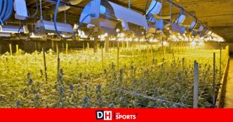 Un huissier découvre 5 000 pots vides dans une maison à Liège : la police est prévenue et découvre les restes d'une plantation de cannabis