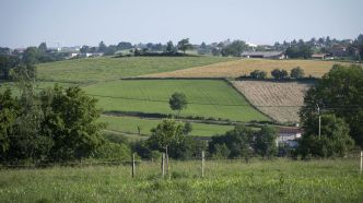 Protection des cultures : un nouvel appel à projets, doté de 45 millions d'euros, confié à FranceAgriMer dans le cadre du PARSADA