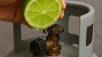 Faites Durer le Gaz 3 Fois Plus Longtemps avec un Citron. Les Fournisseurs de Gaz Détestent Ça.