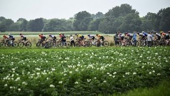 Tour de France Femmes : pendant une étape, comment les cyclistes font-elles pour faire pipi ?