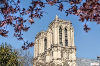 Notre-Dame de Paris : les tours bientôt ouvertes à la visite avec un tout nouveau parcours