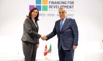 Tunisie-Algérie : la Haute Commission mixte au menu de la rencontre Zaafrani–Larbaoui à Séville