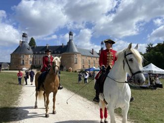 Venez fêter le cheval à Saint-Fargeau