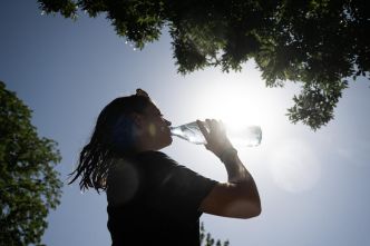 Vagues de chaleur : le monde va devoir apprendre à vivre avec, selon l'ONU