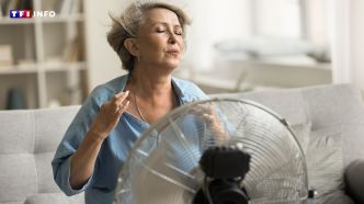 Attention, mal utilisés ou mal entretenus, les ventilateurs et la climatisation peuvent vous rendre malade | TF1 INFO