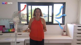 Ventilateur vers l'extérieur, peinture thermique... Ces astuces méconnues pour rafraîchir (sans clim) son logement  | TF1 INFO