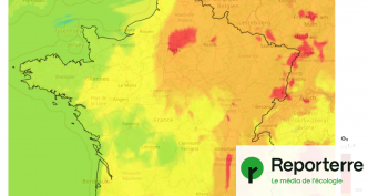 La canicule s'accompagne d'un épisode intense de pollution à l'ozone