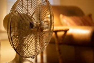 Canicule et allergies : quelles différences entre un ventilateur et un purificateur d'air ?